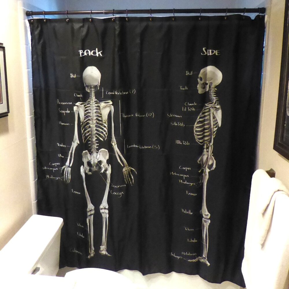 NEW GOTHIC HALLOWEEN SKELETON MEDICAL ANATOMY ILLUSTRATION SHOWER CURTAIN ODDITY